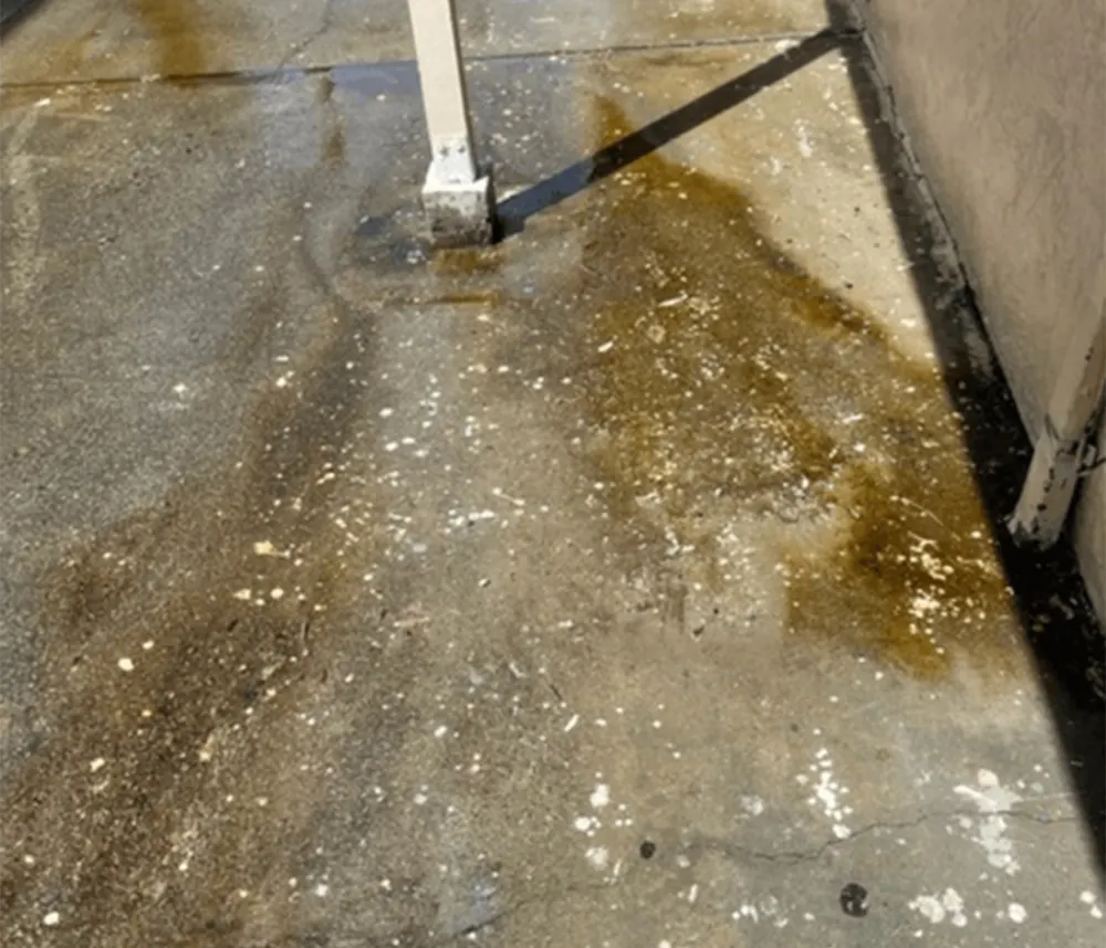 Blast Off Now pressure washing job photo 1
