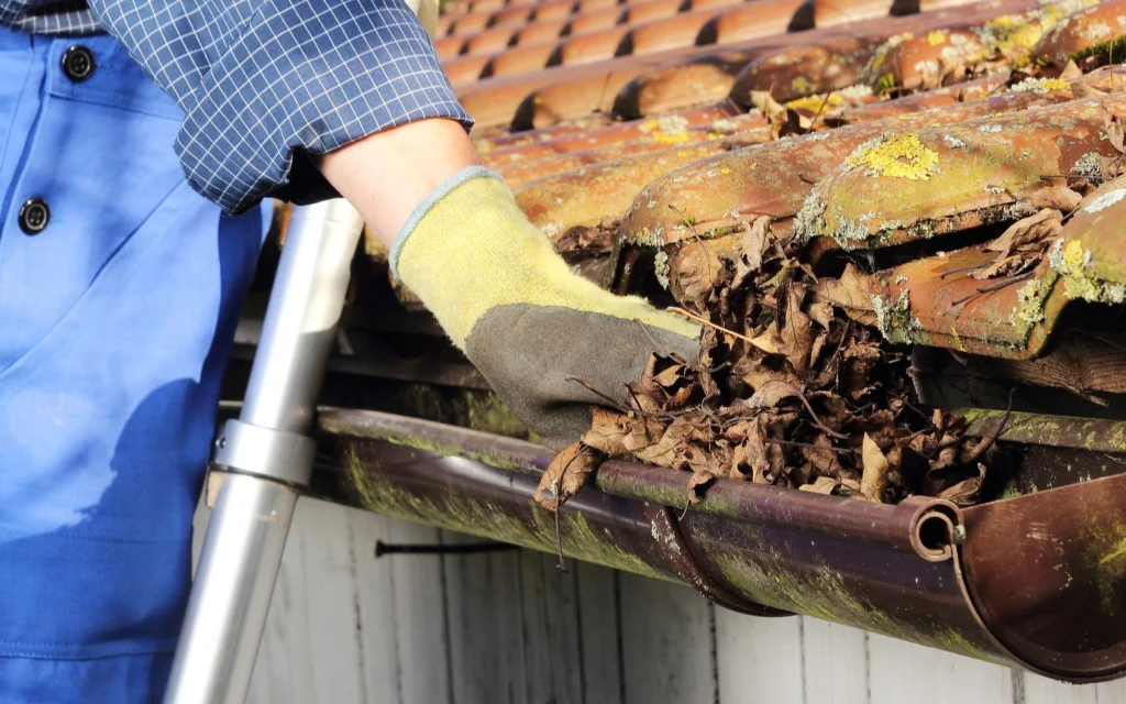 Affordable Roof Cleaning Services In Concord CA