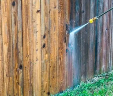 Fence Cleaning